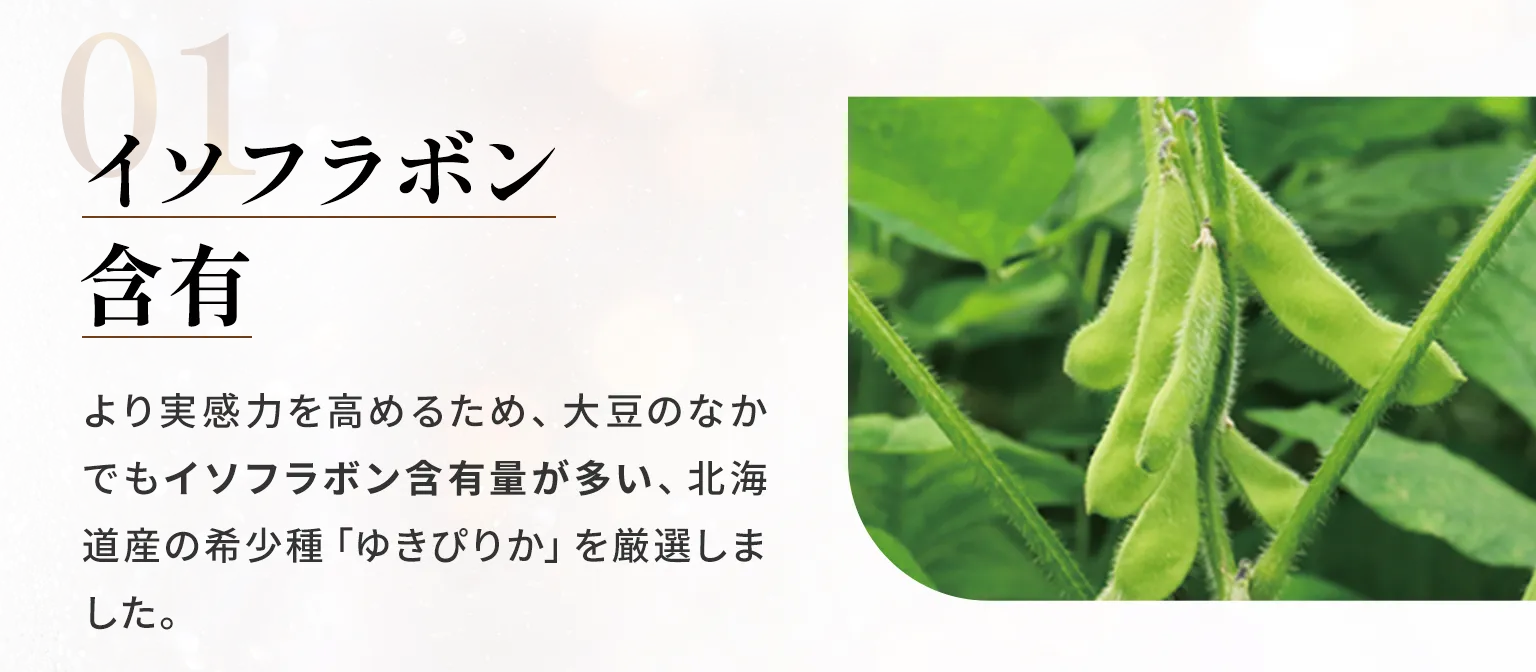 01　イソフラボン含有　より実感力を高めるため、大豆のなかでもイソフラボン含有量が多い、北海道産の希少種「ゆきぴりか」を厳選しました。